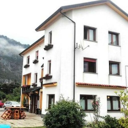 Albergo Alla Pineta Villa Santina Εξωτερικό φωτογραφία