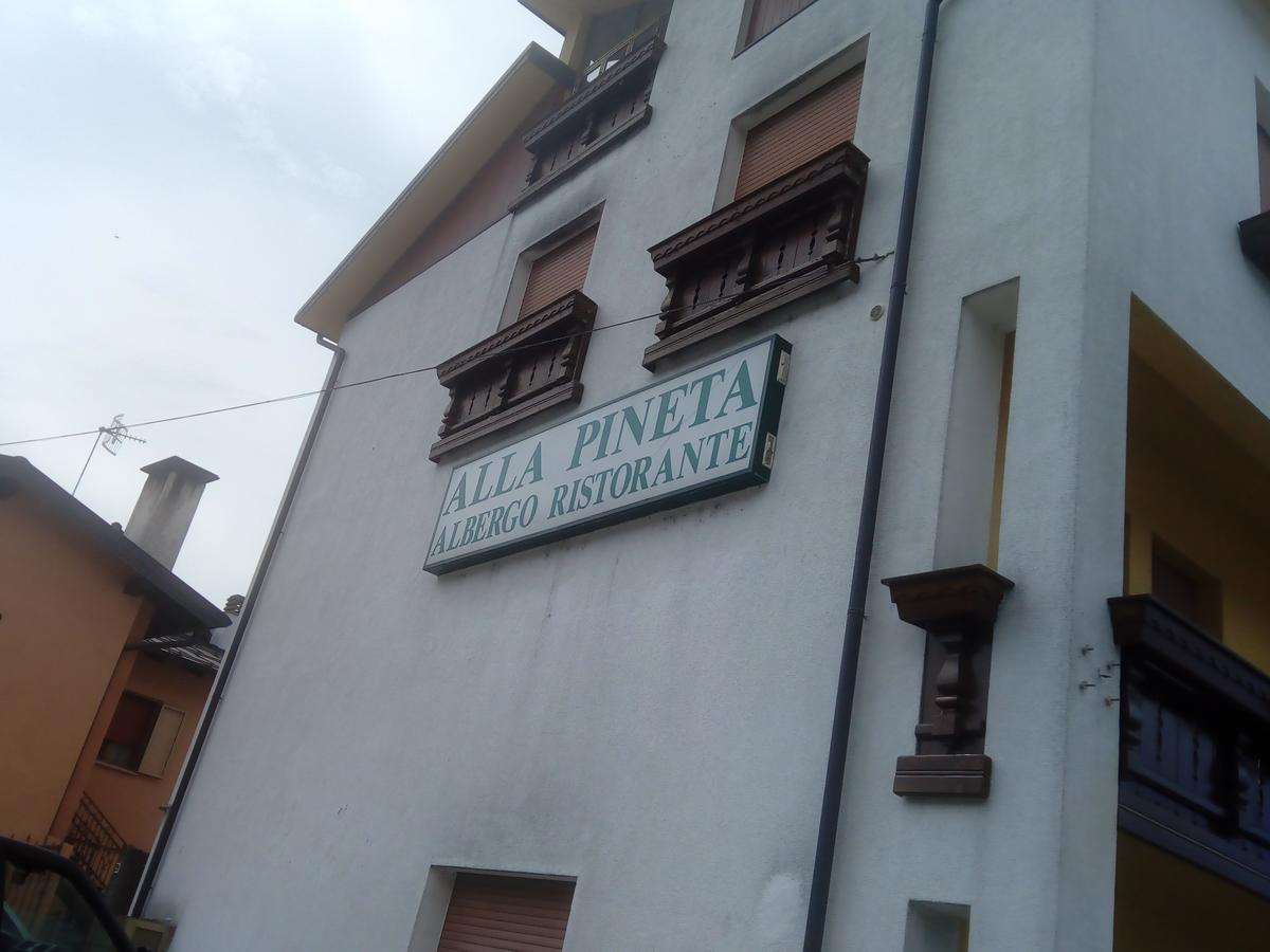 Albergo Alla Pineta Villa Santina Εξωτερικό φωτογραφία