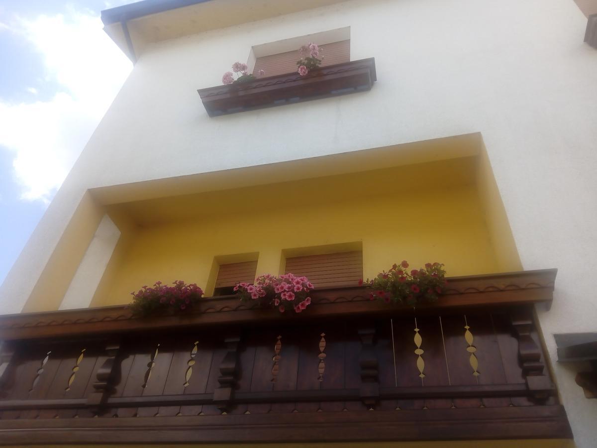 Albergo Alla Pineta Villa Santina Εξωτερικό φωτογραφία