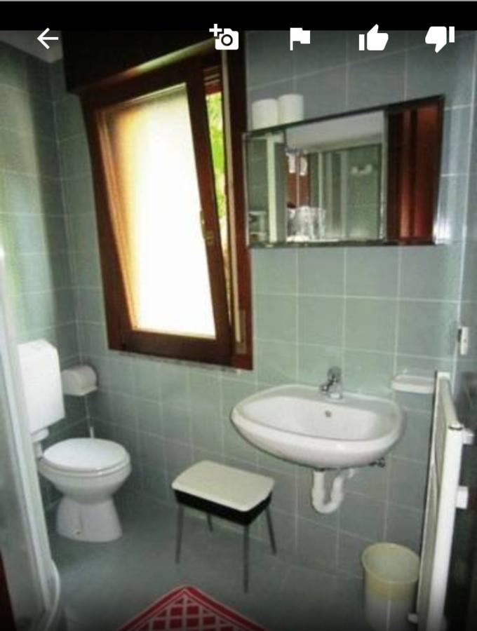 Albergo Alla Pineta Villa Santina Εξωτερικό φωτογραφία