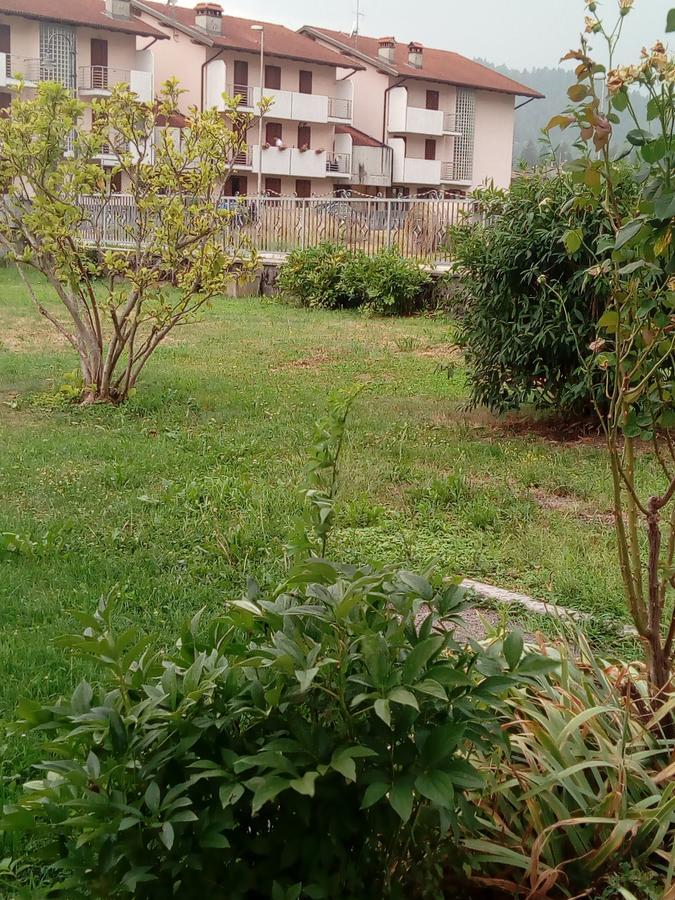 Albergo Alla Pineta Villa Santina Εξωτερικό φωτογραφία
